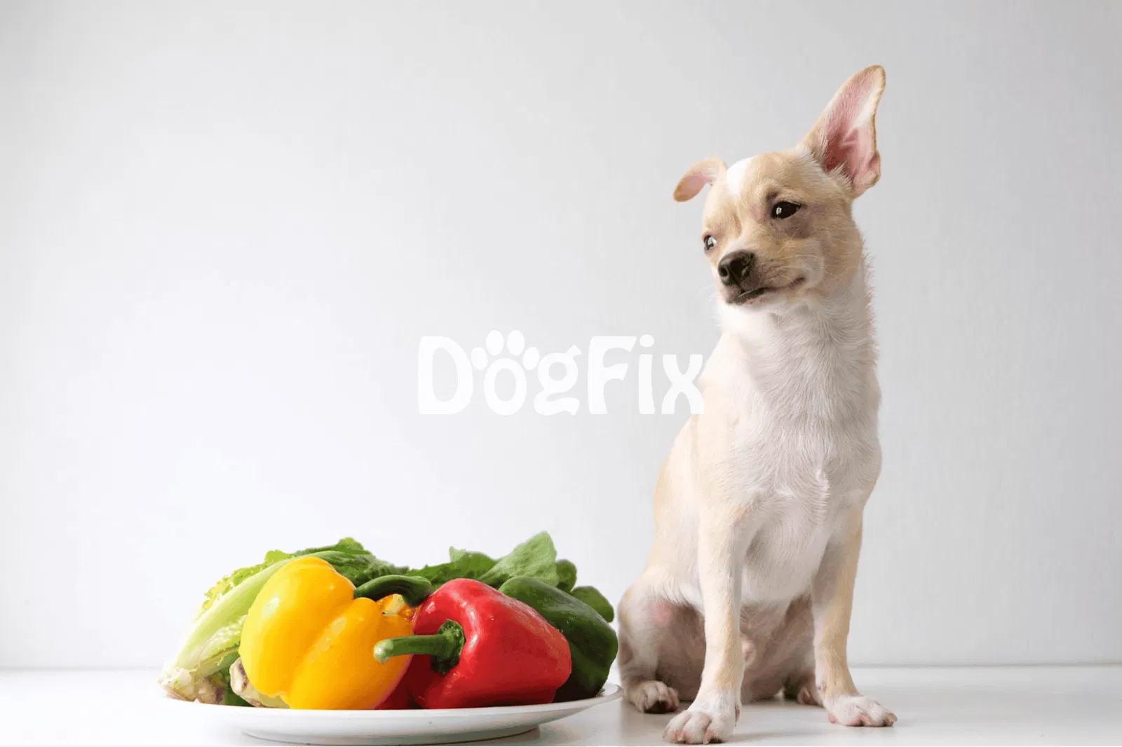Can Dogs Eat Bell Peppers