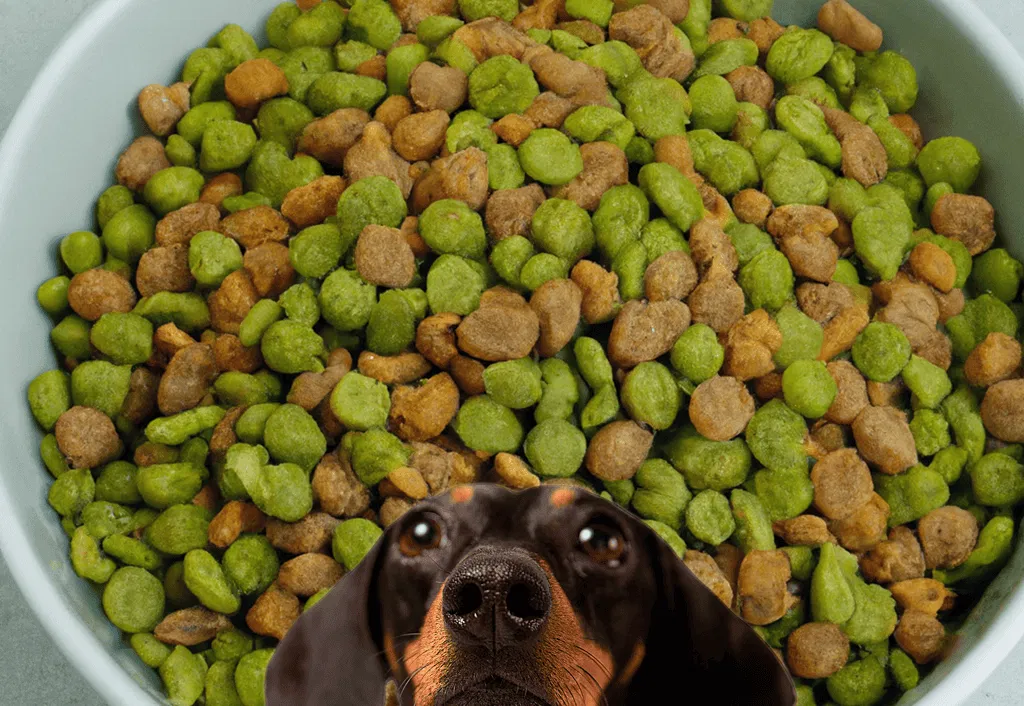 Mix, Match, and Munch