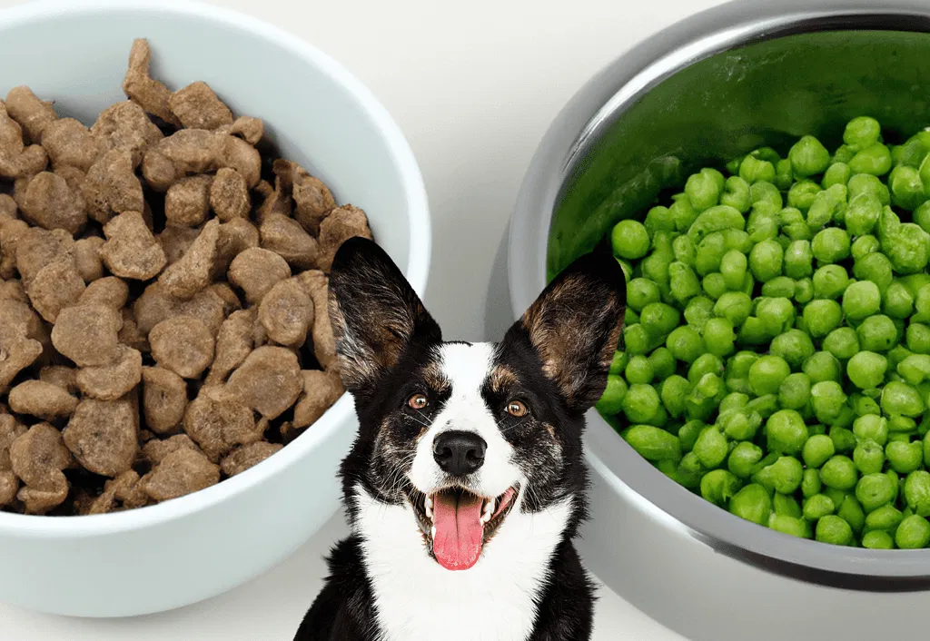 Incorporating Snap Peas into Dog Diet