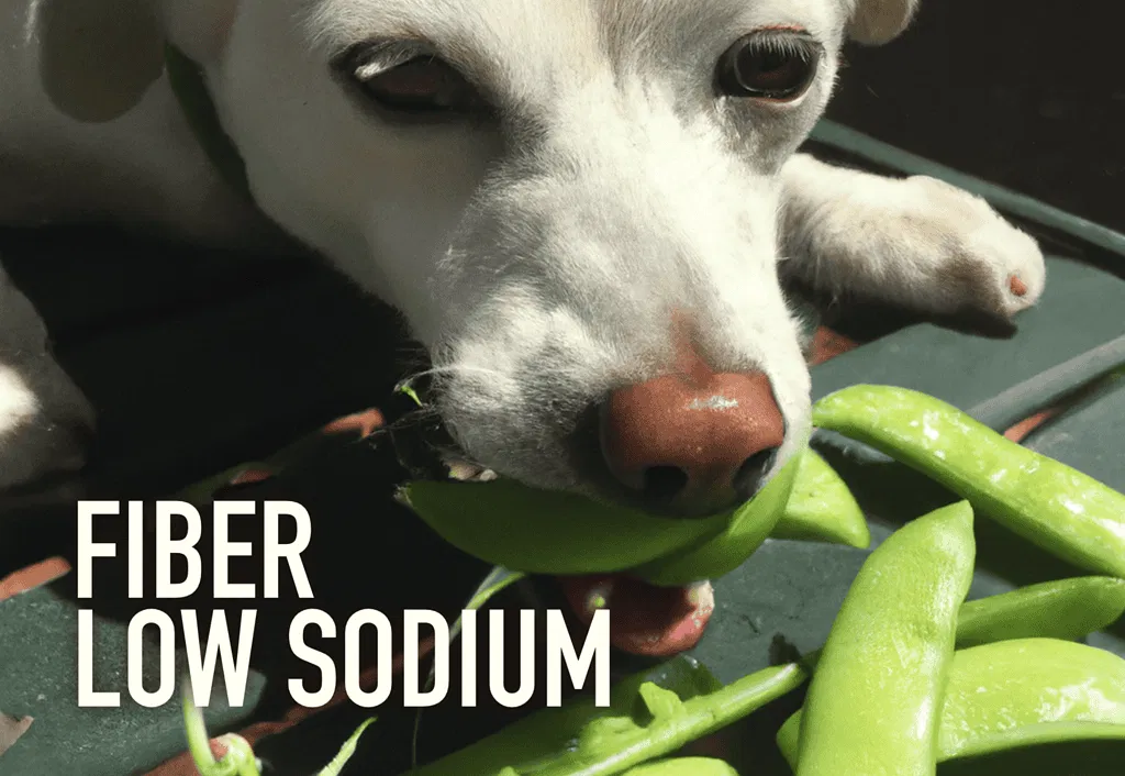 Fiber and Low Sodium