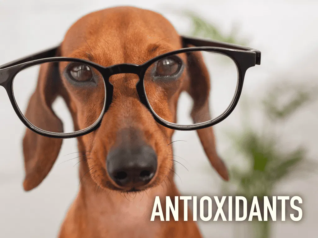 Antioxidants