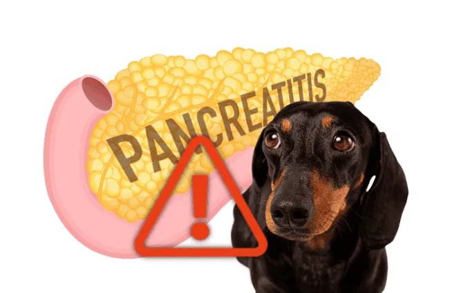 Pancreatitis and Bloating