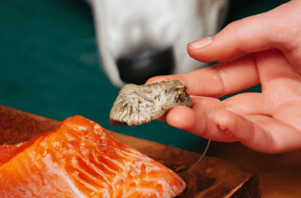 Can Dogs Eat Salmon Skin