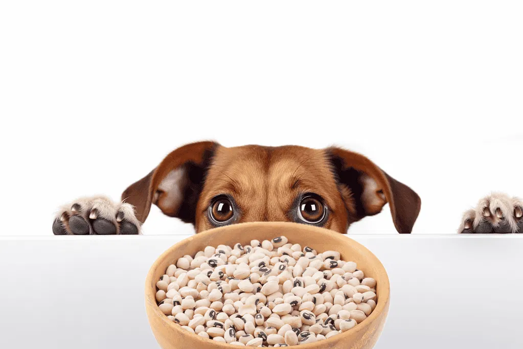 Black-Eyed Peas
