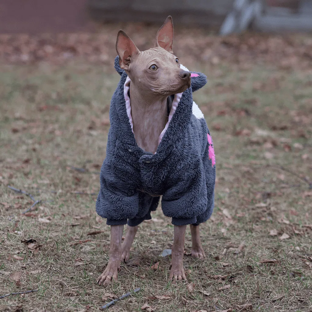American Hairless Terrier Grooming