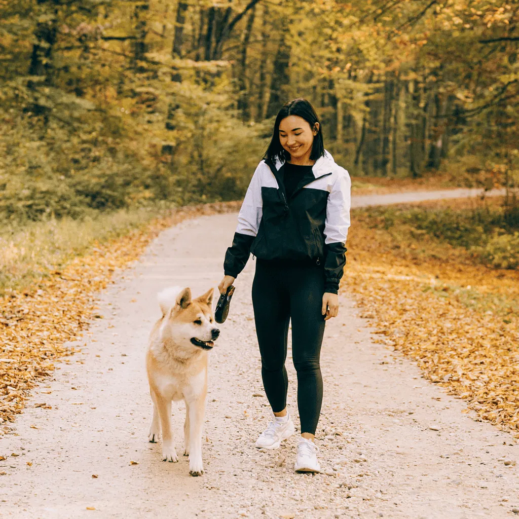 Akita Exercise