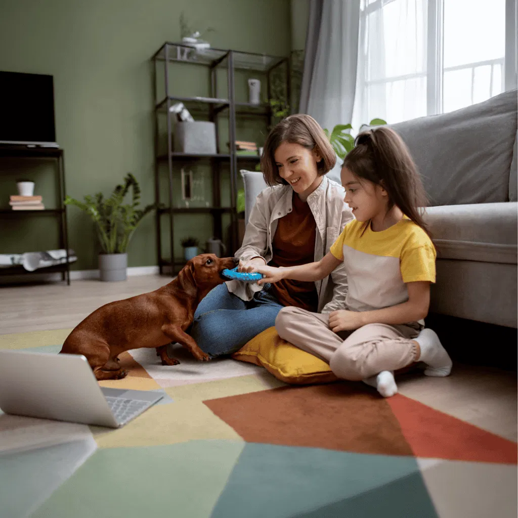 Dachshund Are These Dogs Good For Families