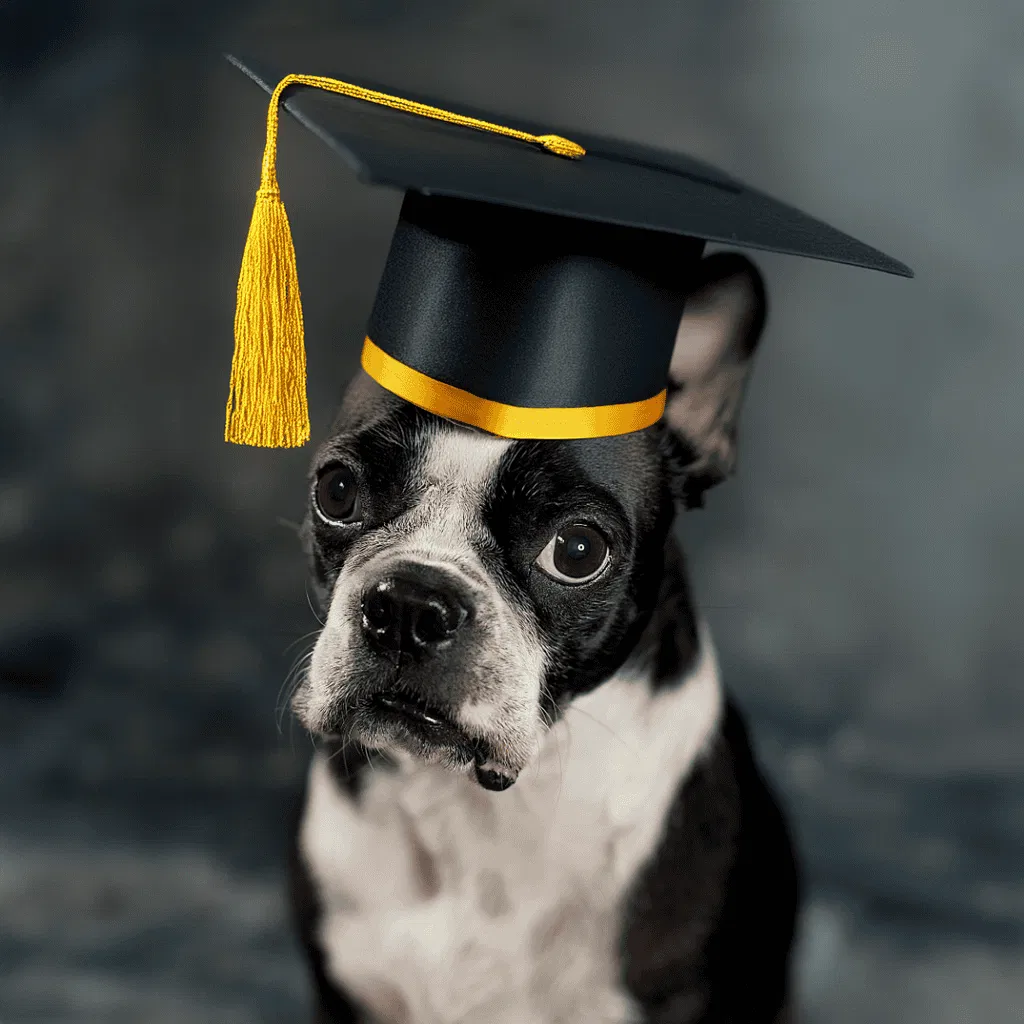 Helen Keller Owned a Boston Terrier