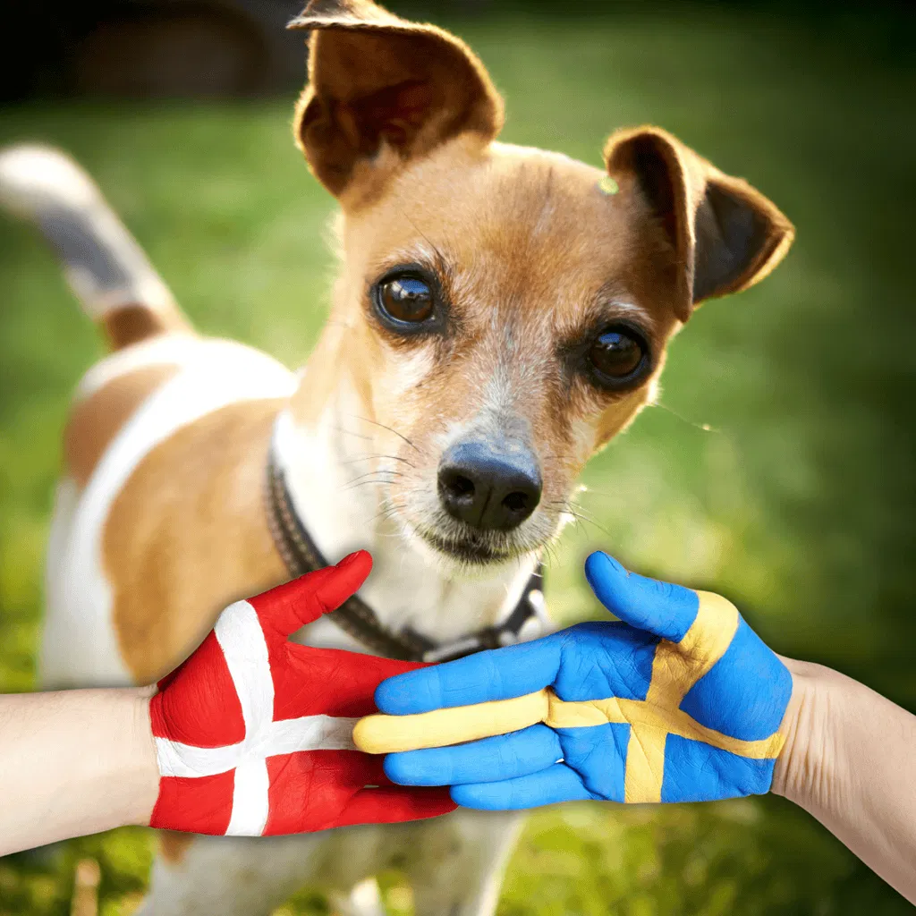 A Collaboration Between Sweden and Denmark Named the DSF