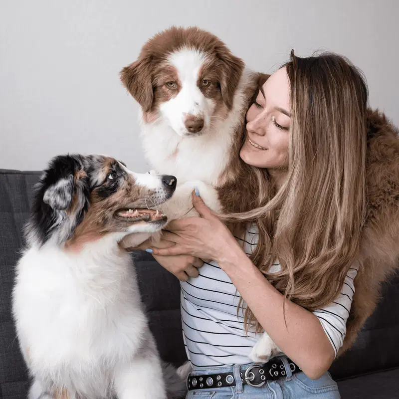 Australian Shepherd Final Thoughts