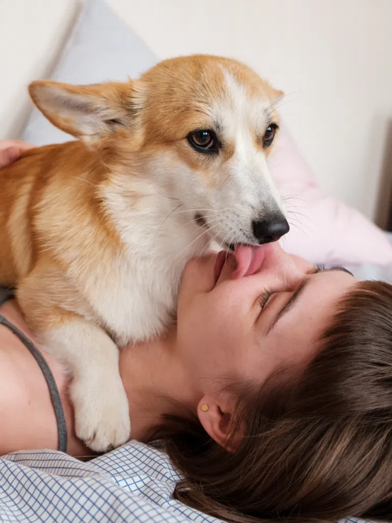 Why Do Dogs Lick You?
