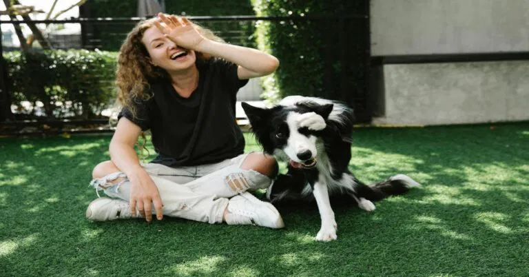 Brain Games for Dogs: Fun Activities to Keep Their Minds Sharp